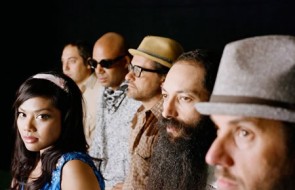 Dengue Fever